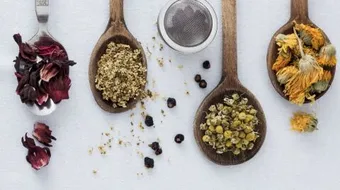 أعشاب حرق الدهون