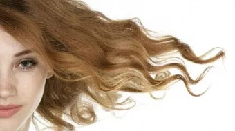 فوائد الحلبة للشعر الدهني