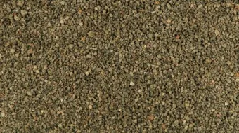 فوائد حبوب الحلبة