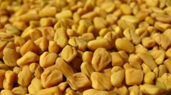 حبوب الحلبة للتسمين