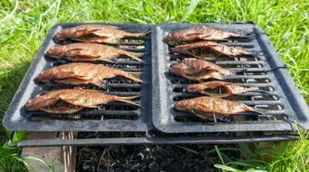 طريقة شوي السمك