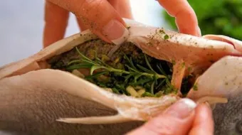 طرق تتبيل السمك