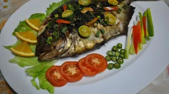 طرق عمل السمك