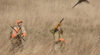 تقنيات الصيد