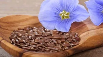 أضرار بذور الكتان