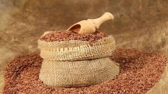 بذور الكتان للتنحيف