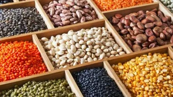 مكونات حمض الفوليك