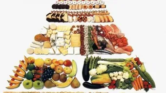 عناصر الغذاء