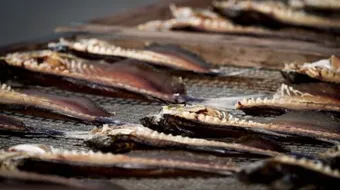 طرق حفظ الأطعمة