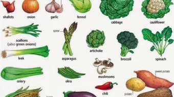 الأغذية التي تساعد على حرق الدهون