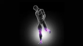 عدد عظام القدم