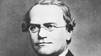 من مؤسس علم الوراثة