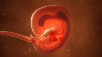 من ماذا خلق الله الإنسان