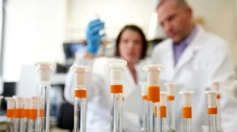 علاج زيادة هرمون fsh