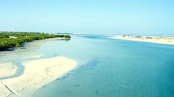 جزيرة الفطيسي