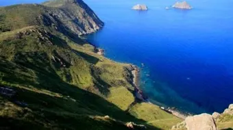 جزيرة جالطة