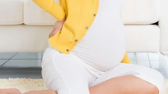 الغازات في الحامل