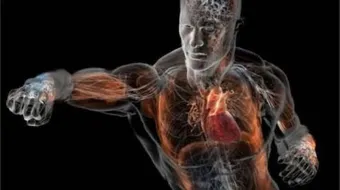 معلومات عامة عن الإنسان