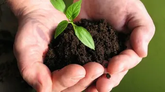 معلومات عامة عن العلوم