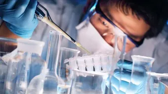 تطبيقات الهندسة الوراثية