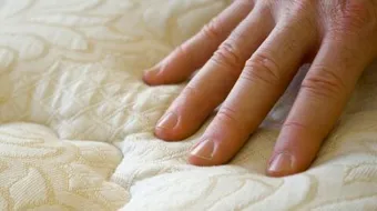 التخلص من بق الفراش بالطرق الطبيعية