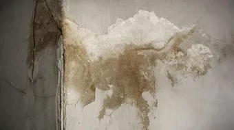 التخلص من رطوبة الجدران