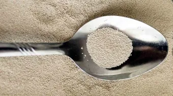 التخلص من الناموس بالخميرة