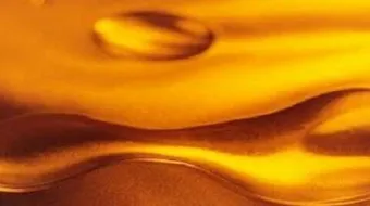 كلمات من ذهب