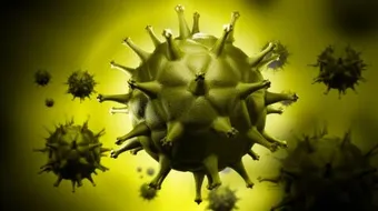 السيلان في الذكور