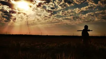 تقرير عن جوجل