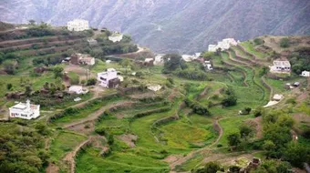 محافظة رجال ألمع