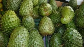 فاكهة الجرافيولا