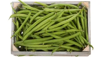 طريقة فاصوليا خضراء