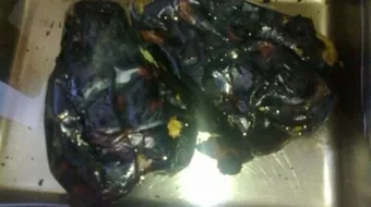 طريقة شوي الباذنجان للمتبل