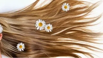 المحافظة على الشعر