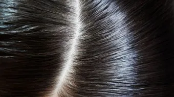 خطوات عمل بروتين الشعر