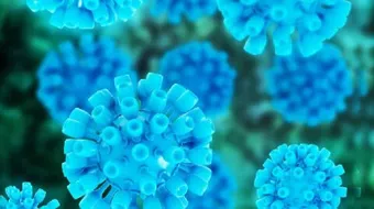 طرق الوقاية من فيروس الكبد C