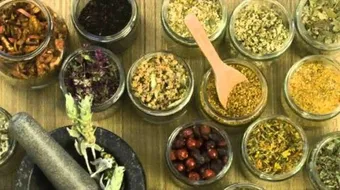 أعشاب تساعد على إنقاص الوزن