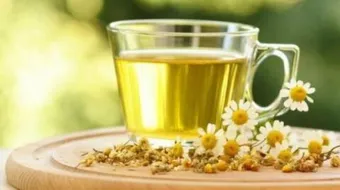 أعشاب لتسهيل الطلق والولادة