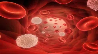 ارتفاع في كريات الدم البيضاء