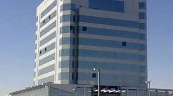 مدينة الهفوف