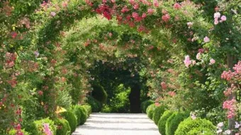 طرق الزراعة المنزلية