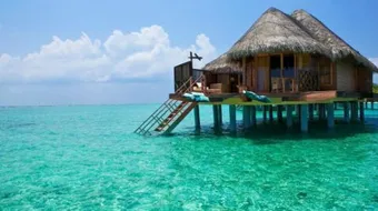 شهر العسل في بالي