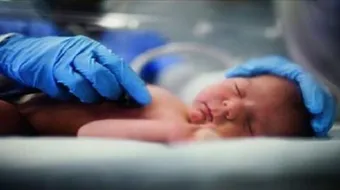 كيف يولد الطفل