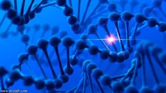 كيف تحدث الطفرة الوراثية