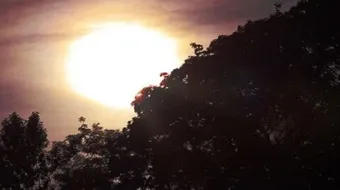 كيف ومتى تصلى صلاة الضحى