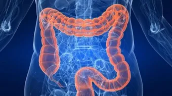 كيف أنظف القولون