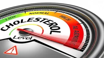 كيف أقضي على الكولسترول