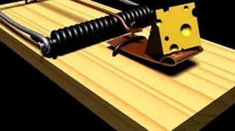 كيف أقضي على الفئران