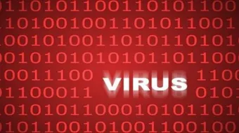كيف أتخلص من الفيروسات في الكمبيوتر